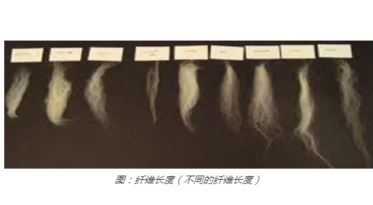 纖維長度（不銹鋼纖維的基礎(chǔ)知識(shí)）